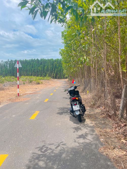 LÔ ĐẤT ĐẸP MẶT TIỀN ĐƯỜNG NHỰA, SÁT BÊN THỊ TRẤN PHƯỚC BỬU, THỔ CƯ KHỦNG, GIÁ SIÊU TỐT - 5
