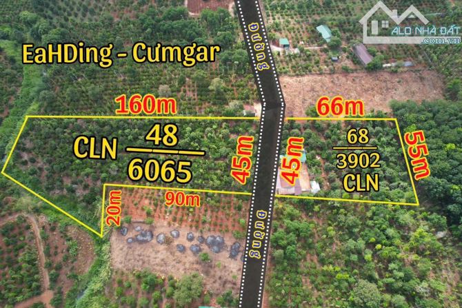 Bán hơn 9 sào đất trồng sầu riêng, cà phê, bơ, tiêu tại Ea Hding