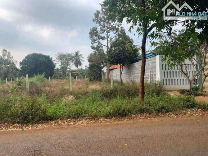 1sào đất thổ cư 100% Trục Lộ 4 Buôn Ky-Thành Nhất-BMT