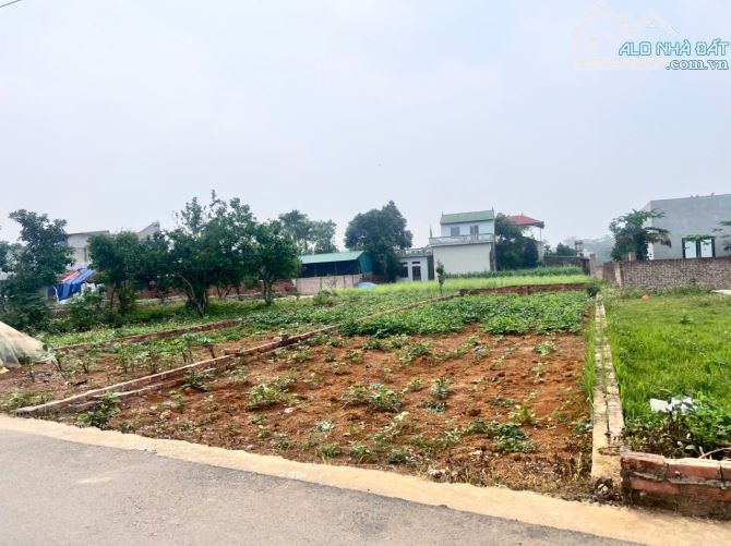 126m giá chỉ Hơn 20 tr 1 m nằm trên trục chính trải apphan xã Phú Cát khu công nghệ cao Ho