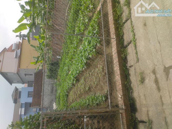 Bán đất Mạnh Tân, Đông Anh , Hà Nội