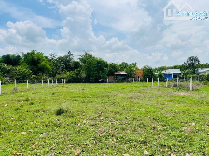 Em gái nhập viện cần bán gấp lô đất đường Cây Trôm Mỹ Khánh, Thái Mỹ