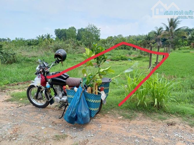 Bán 186m2 đất thuộc Tân Định, Bến Cát giá 1 tỷ 250