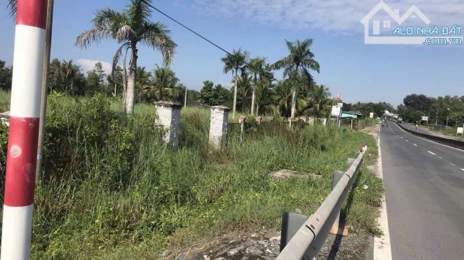 Bán Đất MT QL22B Cẩm Giang, Gò Dầu, hơn 9100m2, mặt tiền 110m cần bán đi úc