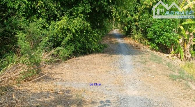 🔰Bán vườn sầu riêng, mít: 2.100m² (39m x 55m) 🔰Đường đá xe ba gác, xã Tân Hội Trung,