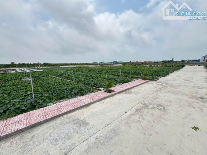 HOT – CHỈ 10 LÔ F0 GIÁ RẺ – VEN BIỂN QUẤT LÂM