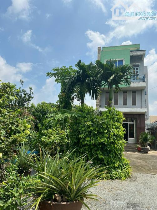 HN047 ( NP484 ) Giảm hẳn 1 tỉ còn 10 tỉ thôi ạ + bán nhà vườn phường Tân Vạn - Biên Hoà 10