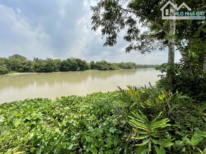 bán vườn , sát bên sông SG - xã AN PHÚ , CỦ CHI TPHCM , 6,3 TỶ , 2860M2 ,có 95,6 m2 thổ cư