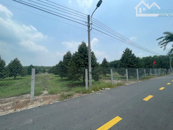chủ kẹt tiền  bán vườn sầu riêng ở An linh phú giáo bình dương giá 890tr /4550m2 thổ cư400