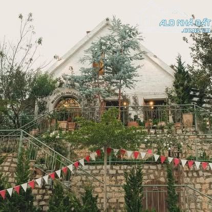 ✨🏡✨ Bán Villa Mặt tiền đường An Bình, Phường 3, Đà Lạt 800m2 - 26 tỷ