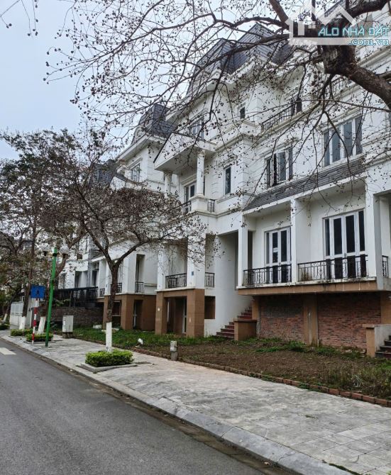 NV LIDECO 250m2- 5T, vị trí đẹp, không gian sáng tạo, 116 triệu/m