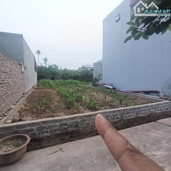 CẦN BÁN ĐẤT TẠI LIÊN NGHĨA – VĂN GIANG – HƯNG YÊN