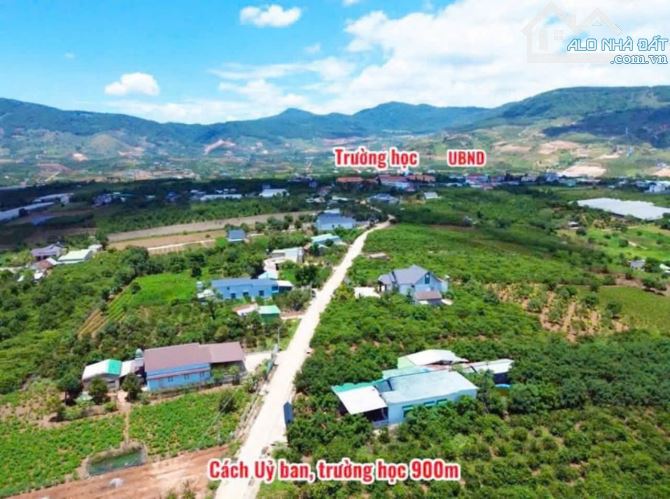 CẦN BÁN GẤP LÔ ĐẤT 513M² – GIÁ RẺ – VIEW THỊ TRẤN NAM BAN - ĐÀ LẠT