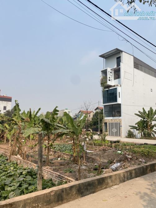 Đất Đấu Giá thổ cư sở hữu lâu dài rẻ đẹp Yên Nghĩa, Hà Đông - Dt84m2, Mt5m - Giá tốt nhất