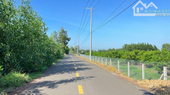 Bán lô đất.1441m Mặt Tiền đường nhựa Phạm Hùng - xã phước long thọ - huyện Đất Đỏ