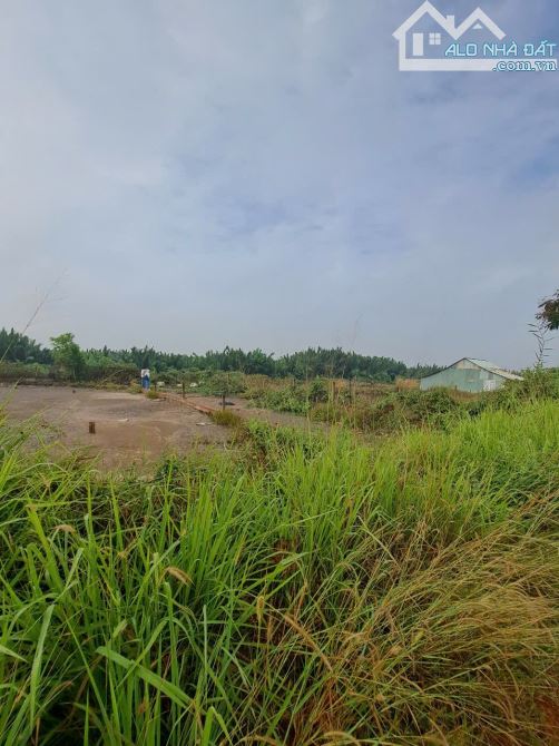 Bán lô đất mặt tiền Tam Thôn Hiệp, Cần Giờ 2,35tỷ - 10