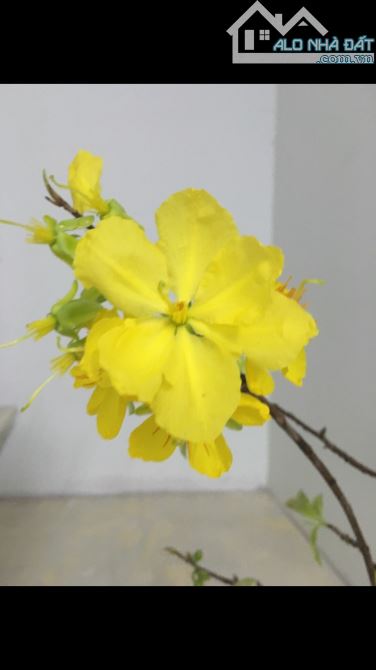 Cho Thuê Phòng Trọ Có Gác 16m² 2 Triệu/ 2-3 người Thanh Đa, Bình Quới Bình Thạnh - 1
