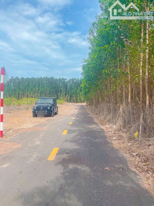 LÔ ĐẤT ĐẸP MẶT TIỀN ĐƯỜNG NHỰA, SÁT BÊN THỊ TRẤN PHƯỚC BỬU, THỔ CƯ KHỦNG, GIÁ SIÊU TỐT - 6