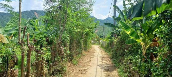 Đất 2 mặt kiệt hòa bắc, 577m2 có 200m2 đất ở bên cạnh camping đẹp - 1