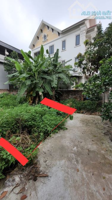 Bán đất Ninh Xá, Ninh Sở _ 59m2_ số vuông, ngõ đẹp_ 2.8 tỷ - 1
