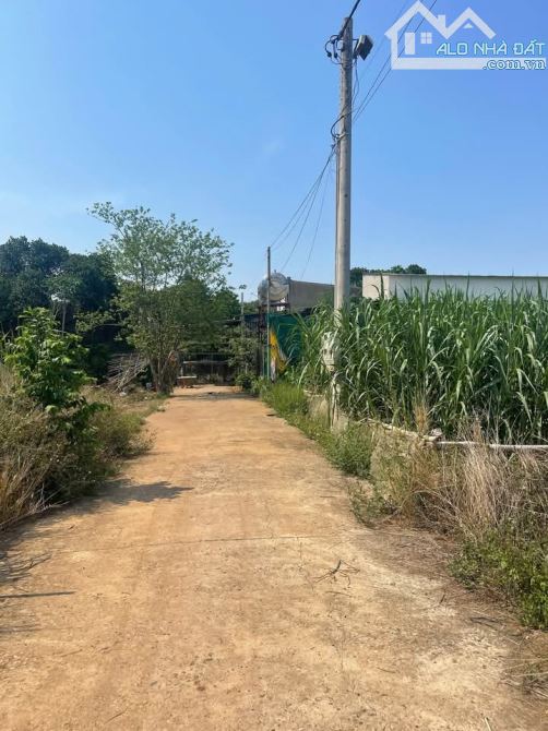 Bán đất Tây Hoà Trảng Bom 800 tr - 1