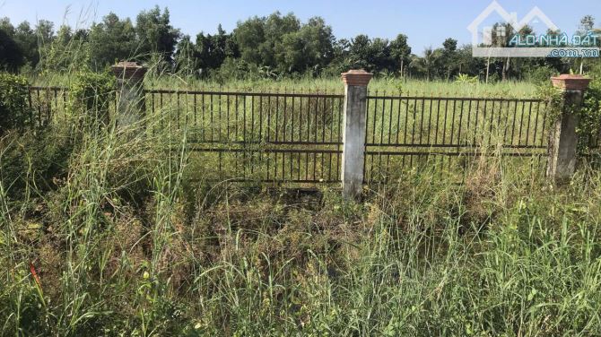 Bán Đất MT QL22B Cẩm Giang, Gò Dầu, hơn 9100m2, mặt tiền 110m cần bán đi úc - 1