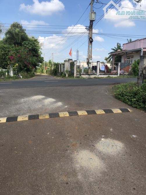 Chủ kẹt quá rồi! Bán gấp đất sào phủ hồng mặt tiền nhựa xã Quảng Thành, Châu Đức, Bà Rịa V - 1