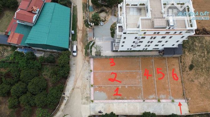 Bán 100m đất thôn Thái Lai, Minh Trí, Sóc Sơn. Full thổ cư, ô tô đỗ - 1