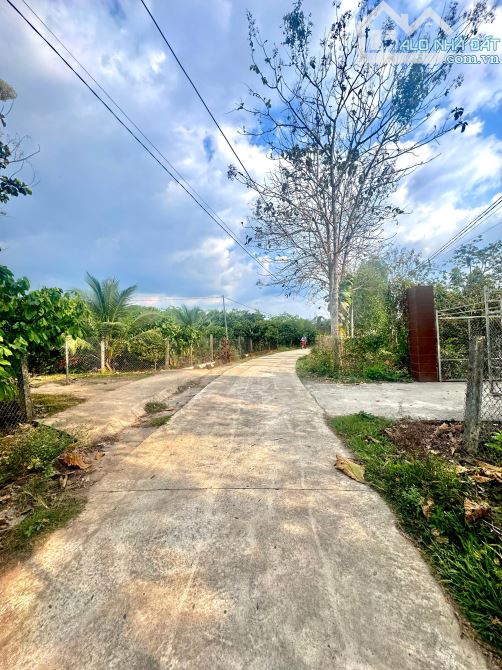 BÁN VƯỜN CA CAO NGAY KHU DÂN CƯ NGỌC ĐỊNH 2237M2 GIÁ SIÊU HỜI CHO ANH CHỊ ĐẦU TƯ 790 TRIỆU - 1