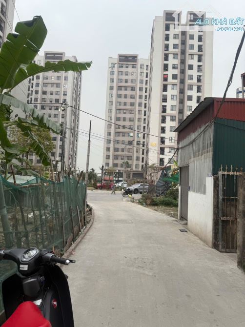 🧧Bán đất ngõ phố Lý Quốc Bảo, Tp Hải Dương - 1