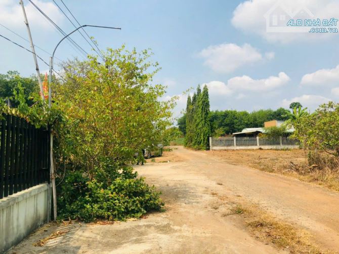 KẸT TIỀN SANG GẤP 1076M2 ĐẤT Ở THỊ XÃ BÌNH LONG GẦN KCN ĐANG HOẠT ĐỘNG. GIÁ 170 TRIỆU - 1