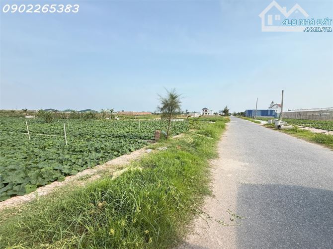 Bán gấp đất nền 91m2 tại Giao Phong Giao Thủy Nam Định giá chỉ 1,7 tỷ - 1