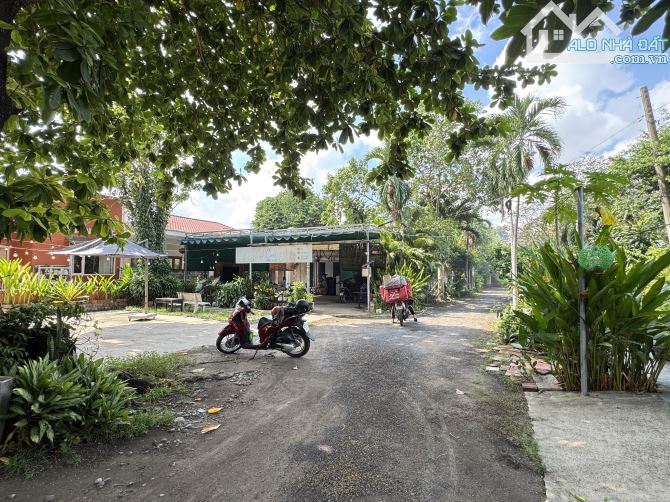 CHÍNH CHỦ BÁN NHÀ + ĐẤT 1.368m² NGAY CHỢ LINH TRUNG – MẶT TIỀN TP. THỦ ĐỨC - 1