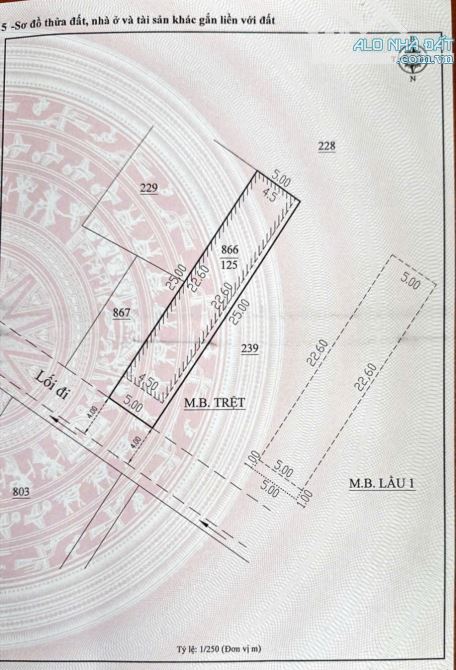 Bán dãy trọ ngay ngã 5 đại học với 17phong thu nhập hơn 20tr/ thang - 1