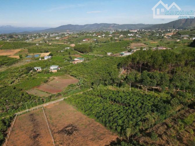 CẦN BÁN GẤP LÔ ĐẤT 513M² – GIÁ RẺ – VIEW THỊ TRẤN NAM BAN - ĐÀ LẠT - 1