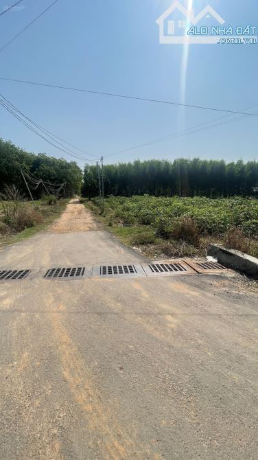 BÁN ĐẤT 2MT SẴN SỔ GIÁ TỐT NHẤT KHU VỰC SUỐI CAO- XUÂN LỘC - 1