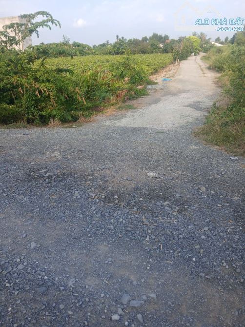 BÁN ĐẤT LÀM XƯỞNG, BẾN TÀU, ĐẤT CÔNG 2900M2 - 1