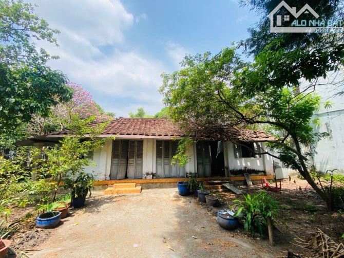 Hóc Môn bán đất full thổ cư diện tích rộng gần đường Nguyễn Ảnh Thủ phù hợp làm nhà vườn - 1