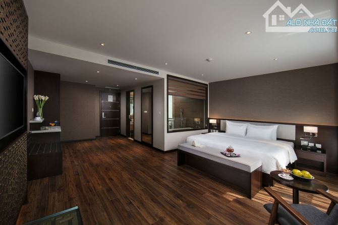 Bán khách sạn mặt phố Liễu Giai, Ba Đình, 420m2, giá 350 tỷ, 10 tầng, cho thuê 1 tỷ/ tháng - 16