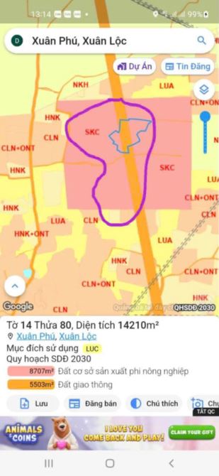 BÁN 12 HEC XUÂN PHÚ XUÂN LỘC ĐỒNG NAI . - 3
