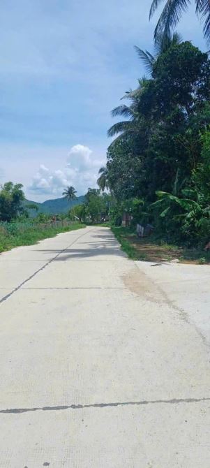 Đất 2 mặt kiệt hòa bắc, 577m2 có 200m2 đất ở bên cạnh camping đẹp - 2