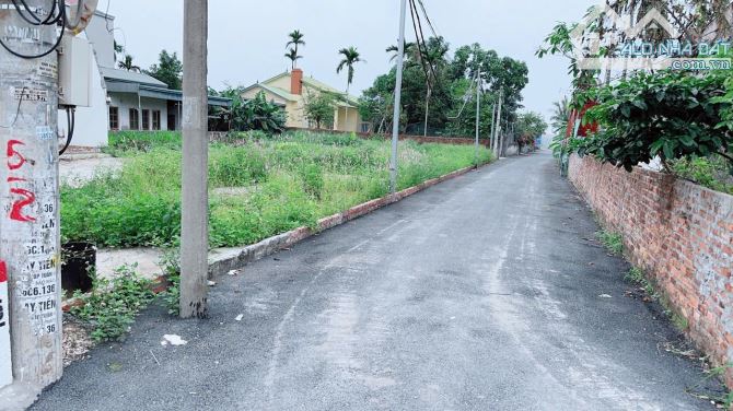 Bán đất 402 Tư Thủy - Hòa Nghĩa - Dương Kinh - Hải Phòng - 2