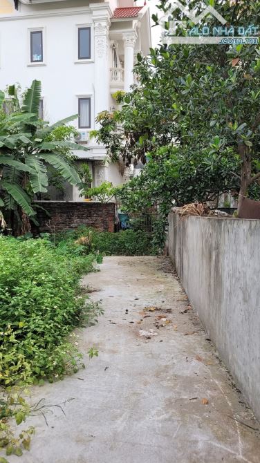 Bán đất Ninh Xá, Ninh Sở _ 59m2_ số vuông, ngõ đẹp_ 2.8 tỷ - 2