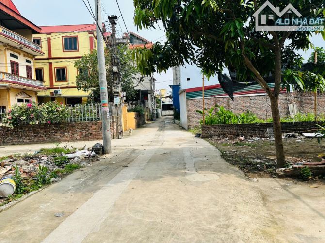 Cần bán 65m2 Viên Nội, Vân Nội đường 3m, 100m ra đường Vân Trì. - 2