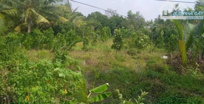 Bán đất nghĩ dưỡng mặt tiền lộ nhựa, 1520m2 cách chợ Mái Dầm 1km. Giá 2,4T - 2