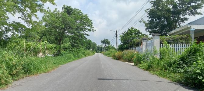Bán 1500m2 thổ cư thành phố Phú Mỹ - 2