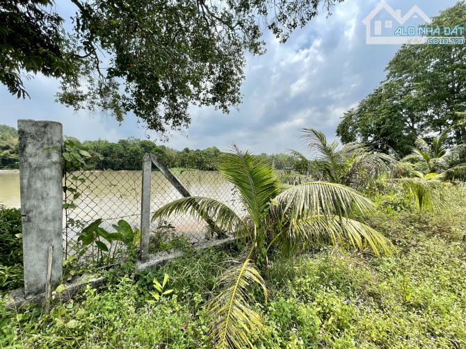 bán vườn , sát bên sông SG - xã AN PHÚ , CỦ CHI TPHCM , 6,3 TỶ , 2860M2 ,có 95,6 m2 thổ cư - 2