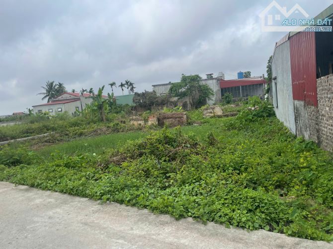 Đất nền diện tích 414m² tọa lạc tại Đường 361, Phường Bàng La, Đồ Sơn, Hải Phòng, - 2