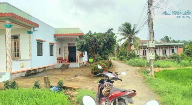 Bán lỗ 150m2 đất thổ gần chợ Tân Phước chỉ 480tr - 2