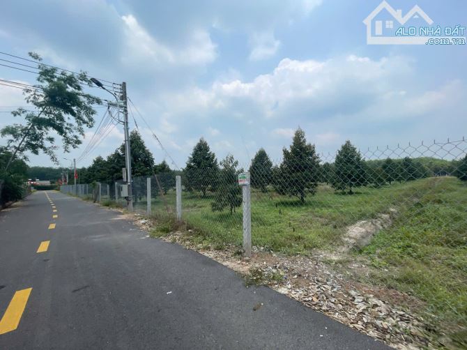 chủ kẹt tiền  bán vườn sầu riêng ở An linh phú giáo bình dương giá 890tr /4550m2 thổ cư400 - 2